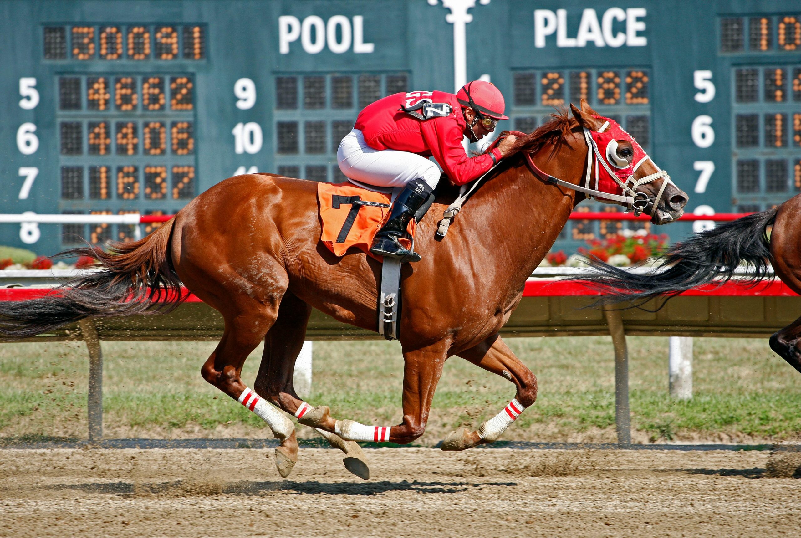 kentucky derby