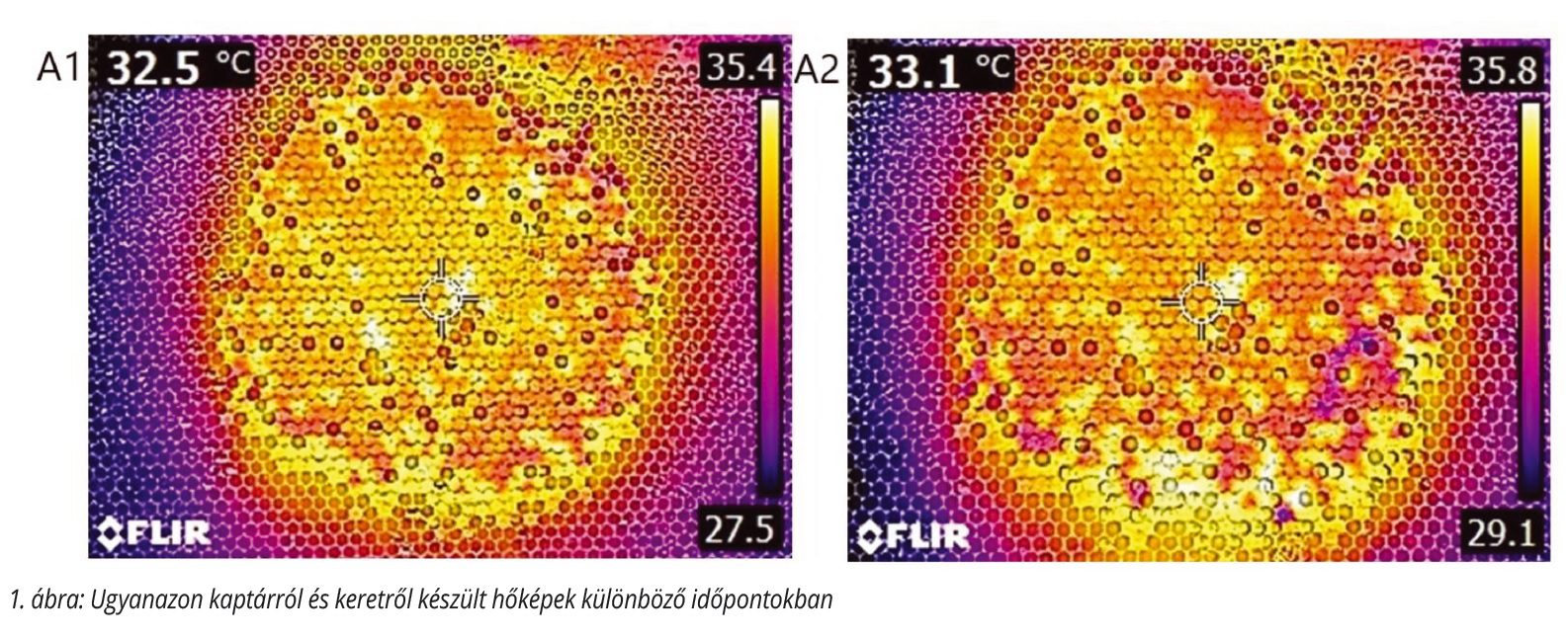varroa atka monitoring