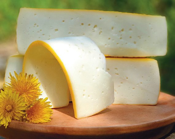 sajt kézműves kecskesajt kecskefarm nagyvázsony