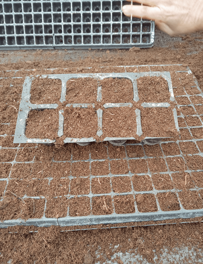 Aprómorzsás, laza, steril közeg