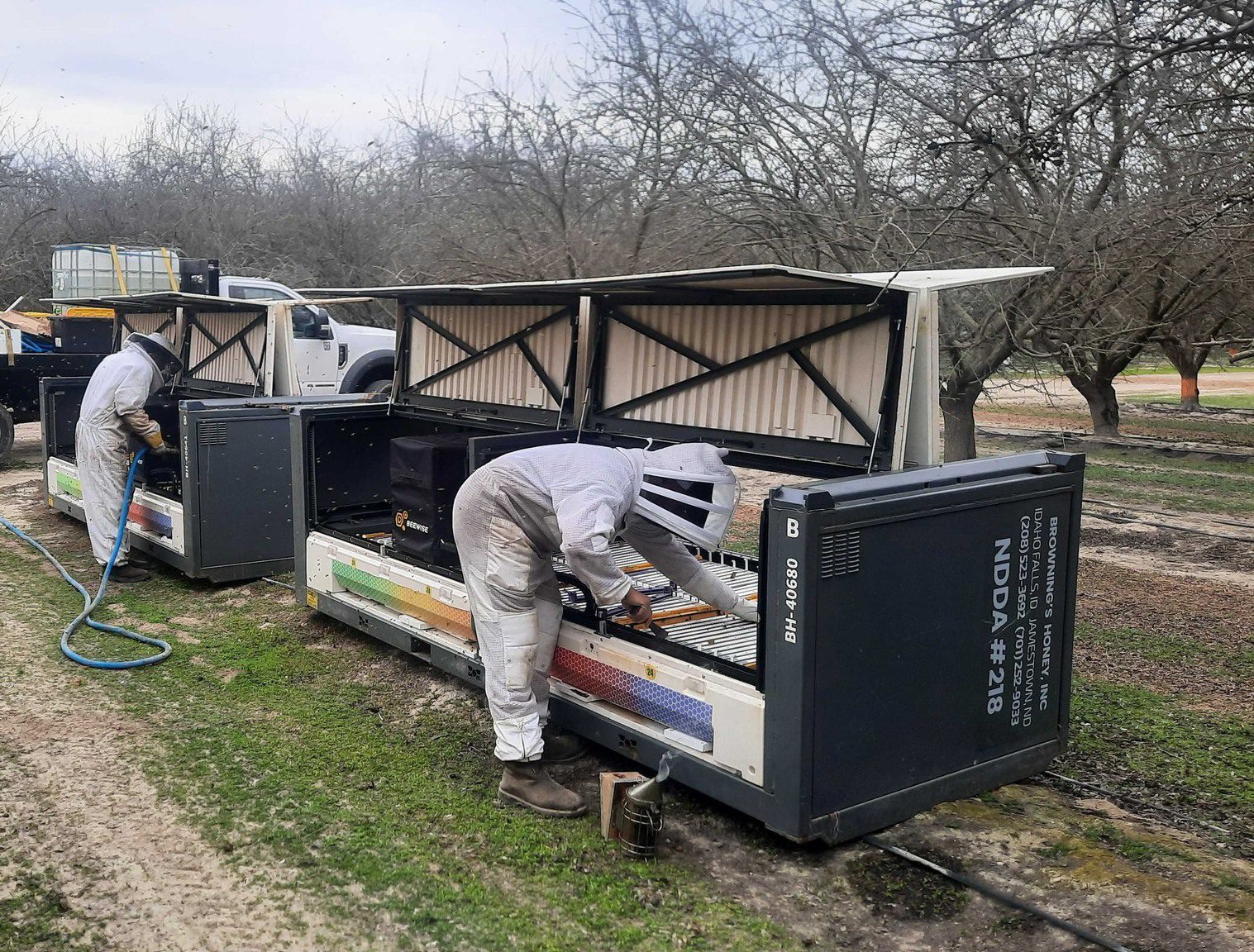 BeeHome, robotizált kaptár gyümölcsösben