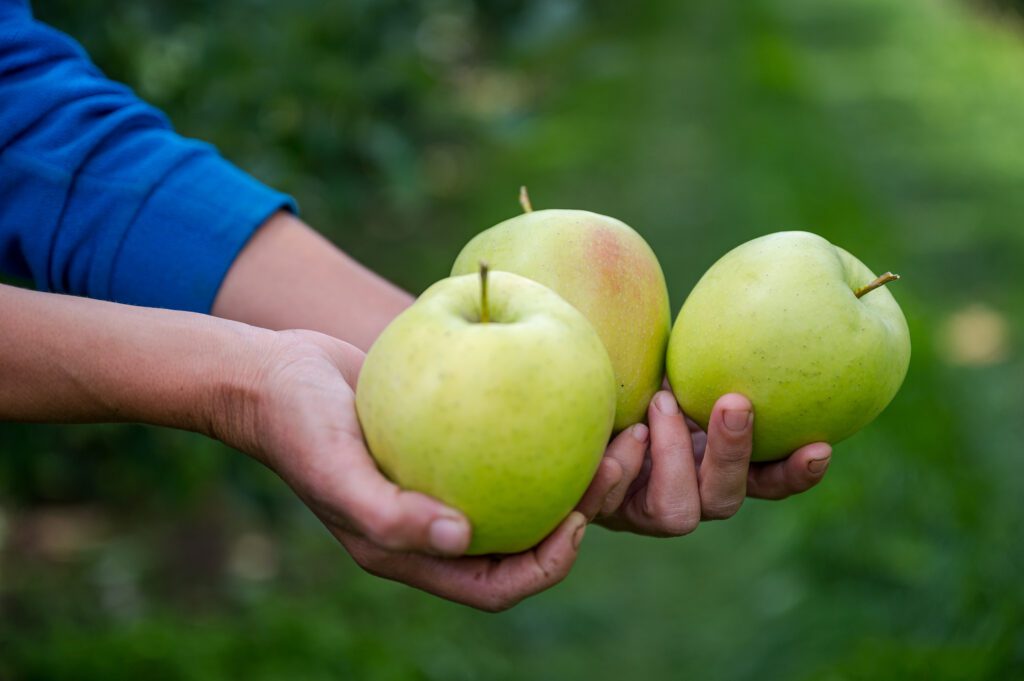 Utolsó szög a gyümölcstermesztés koporsójában?