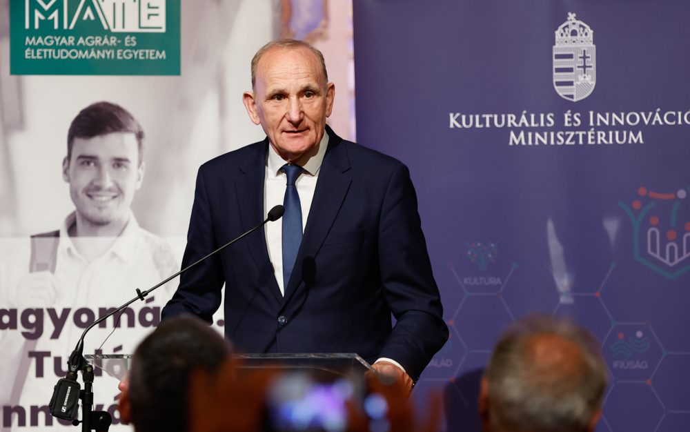 Gémesi György, Gödöllő Város polgármestere