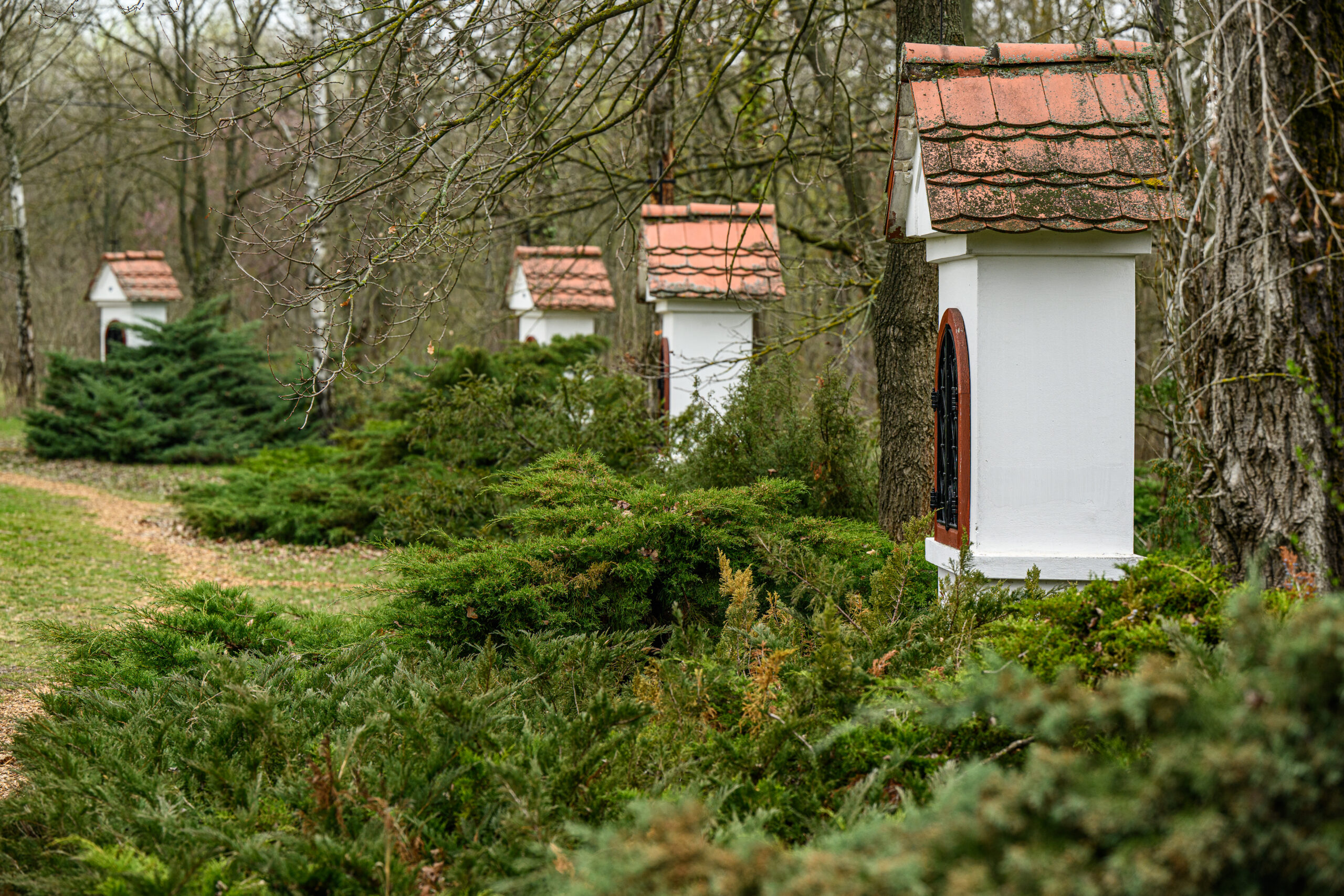 kecskeméti arborétum