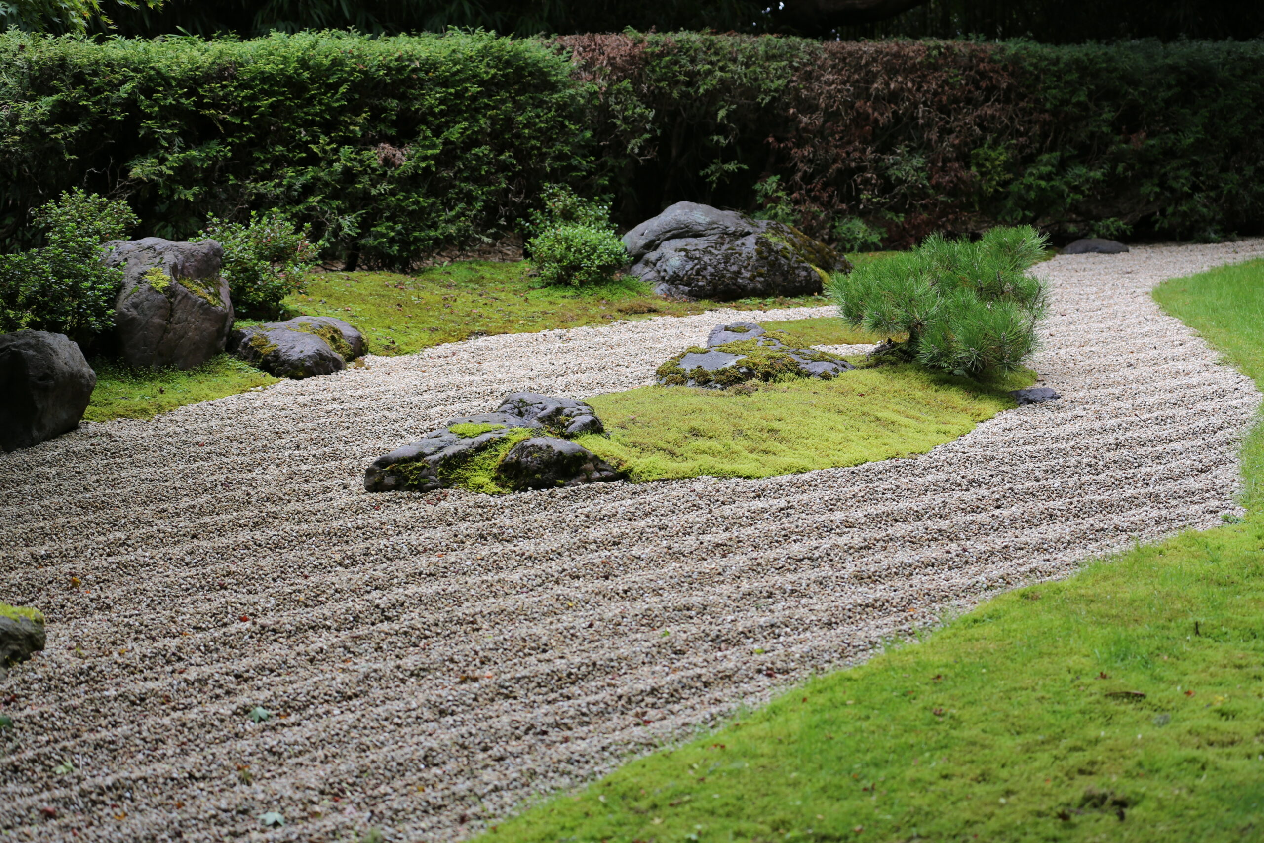 zen kert 