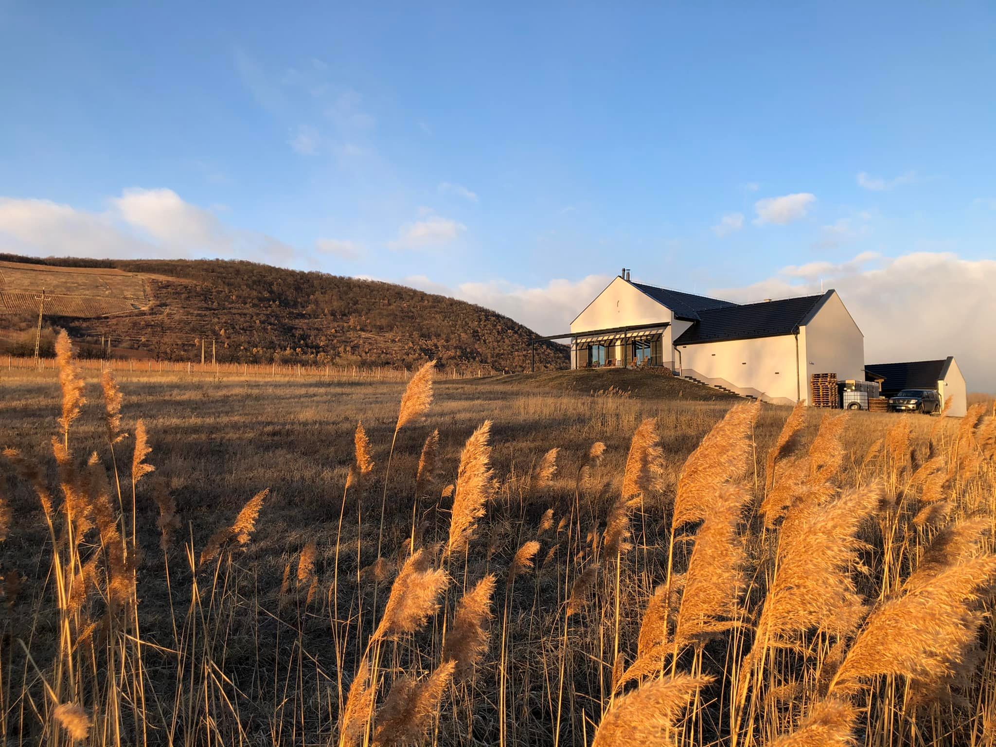 Fotó: Bukolyi Organic Wine Farm