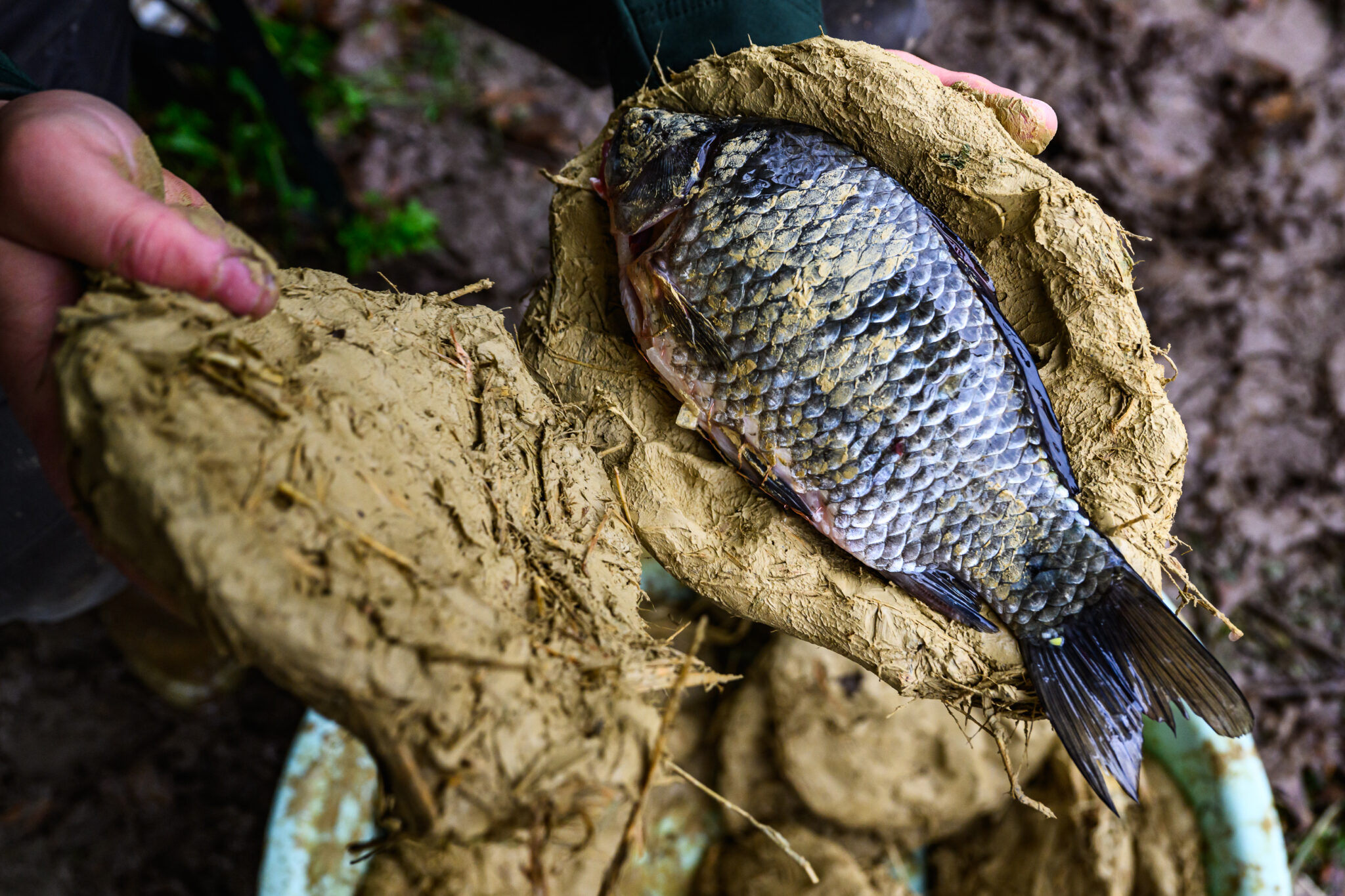 lengyelannafürdő hal sütés gasztronómia