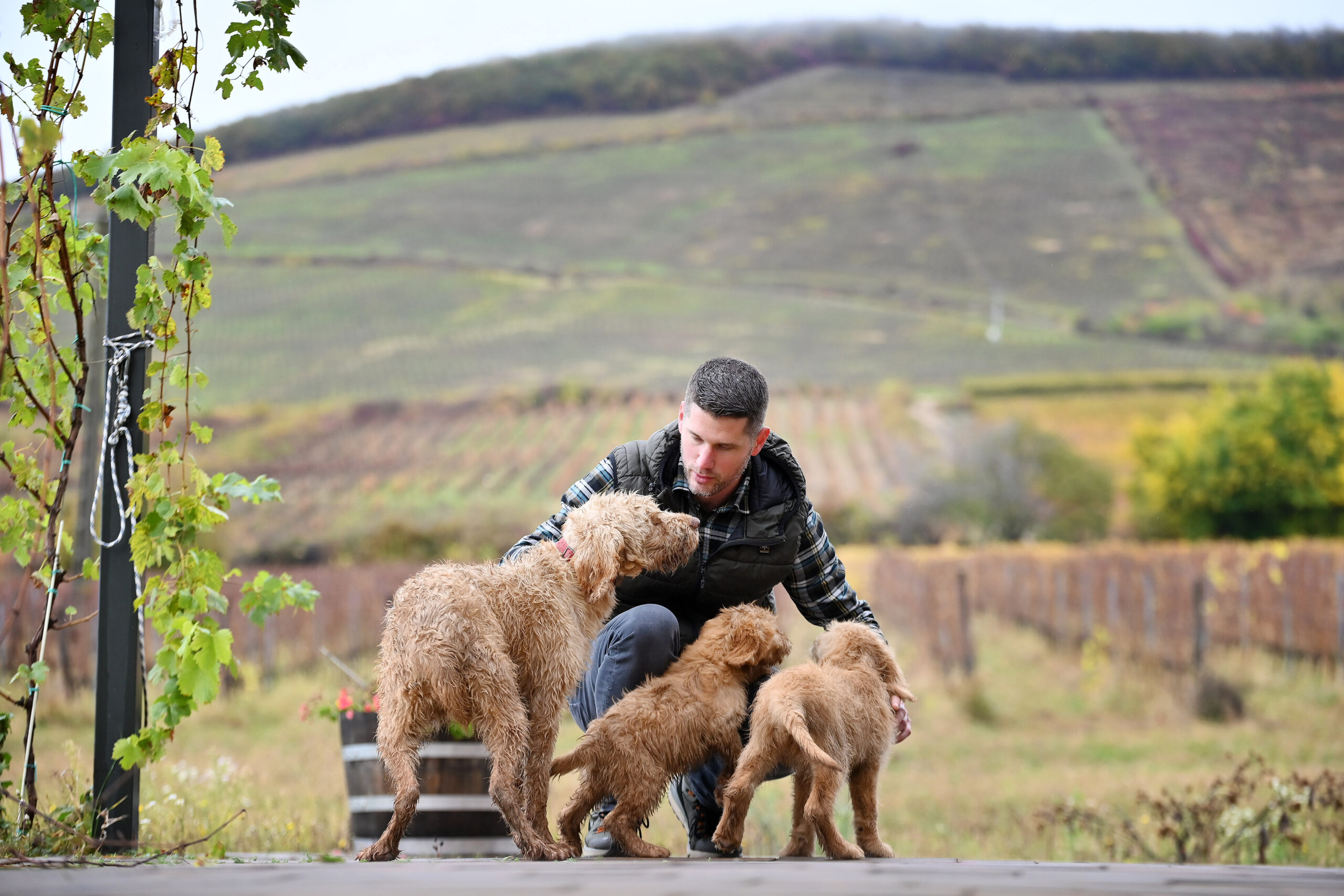 Fotó: Bukolyi Organic Wine Farm