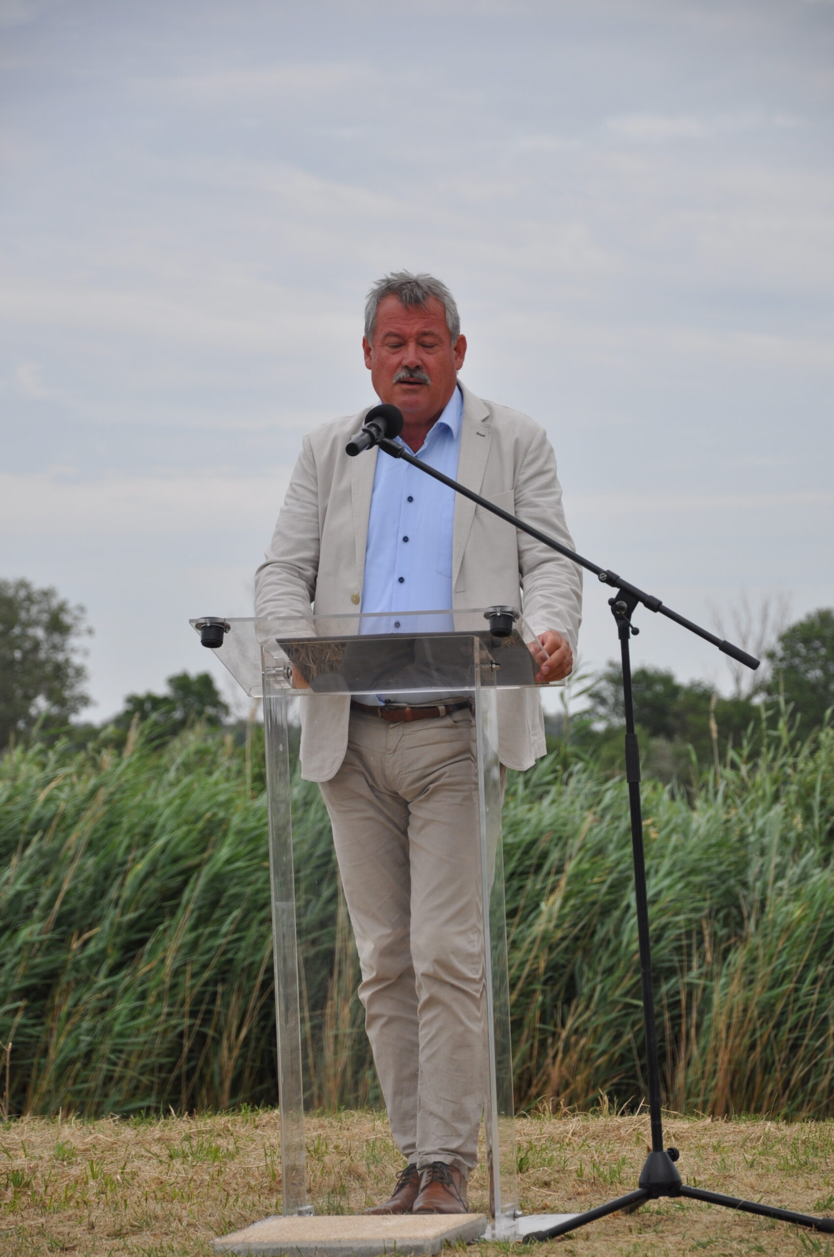 V. Németh Zsolt