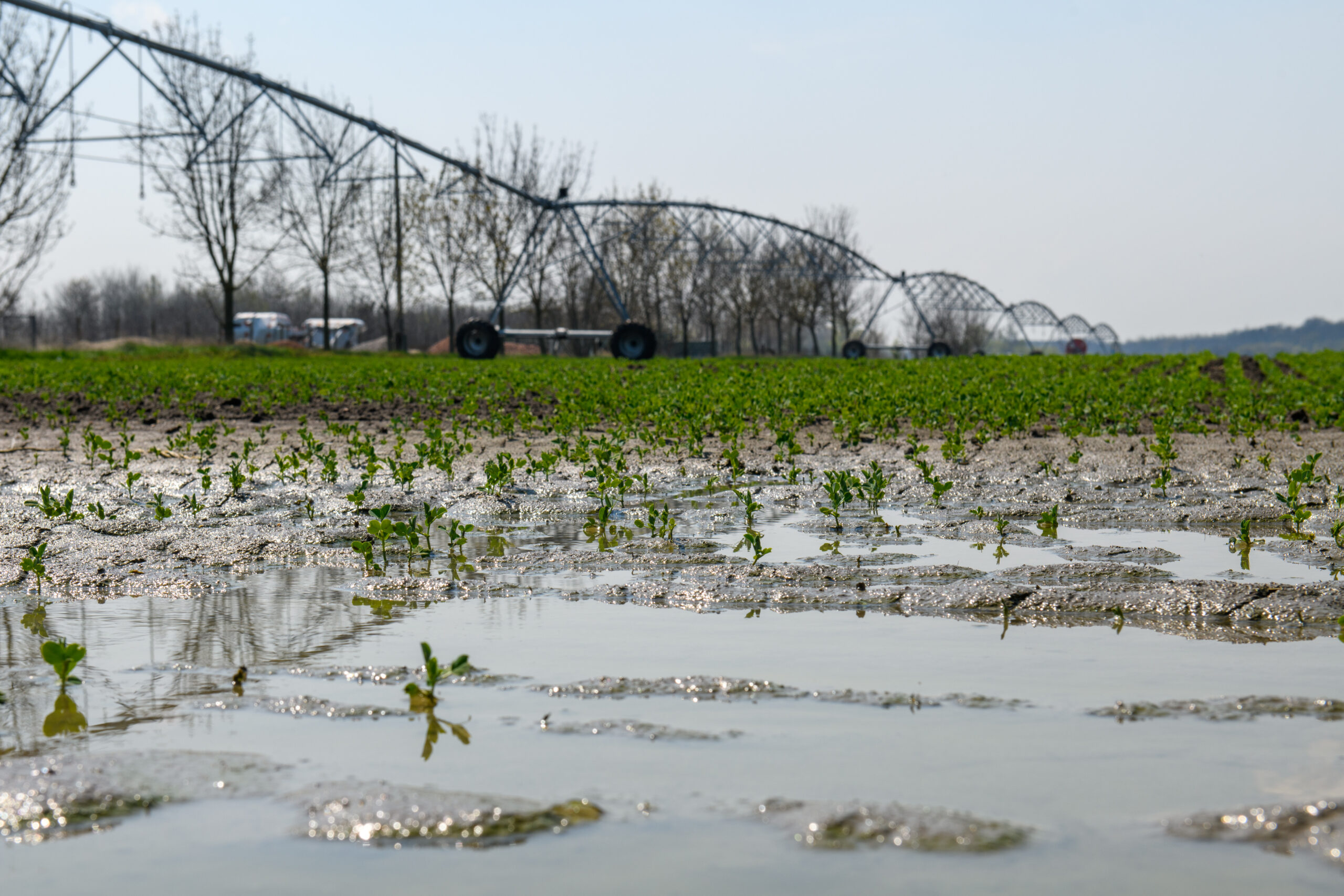 talaj talajvédelem öntözés belvíz 