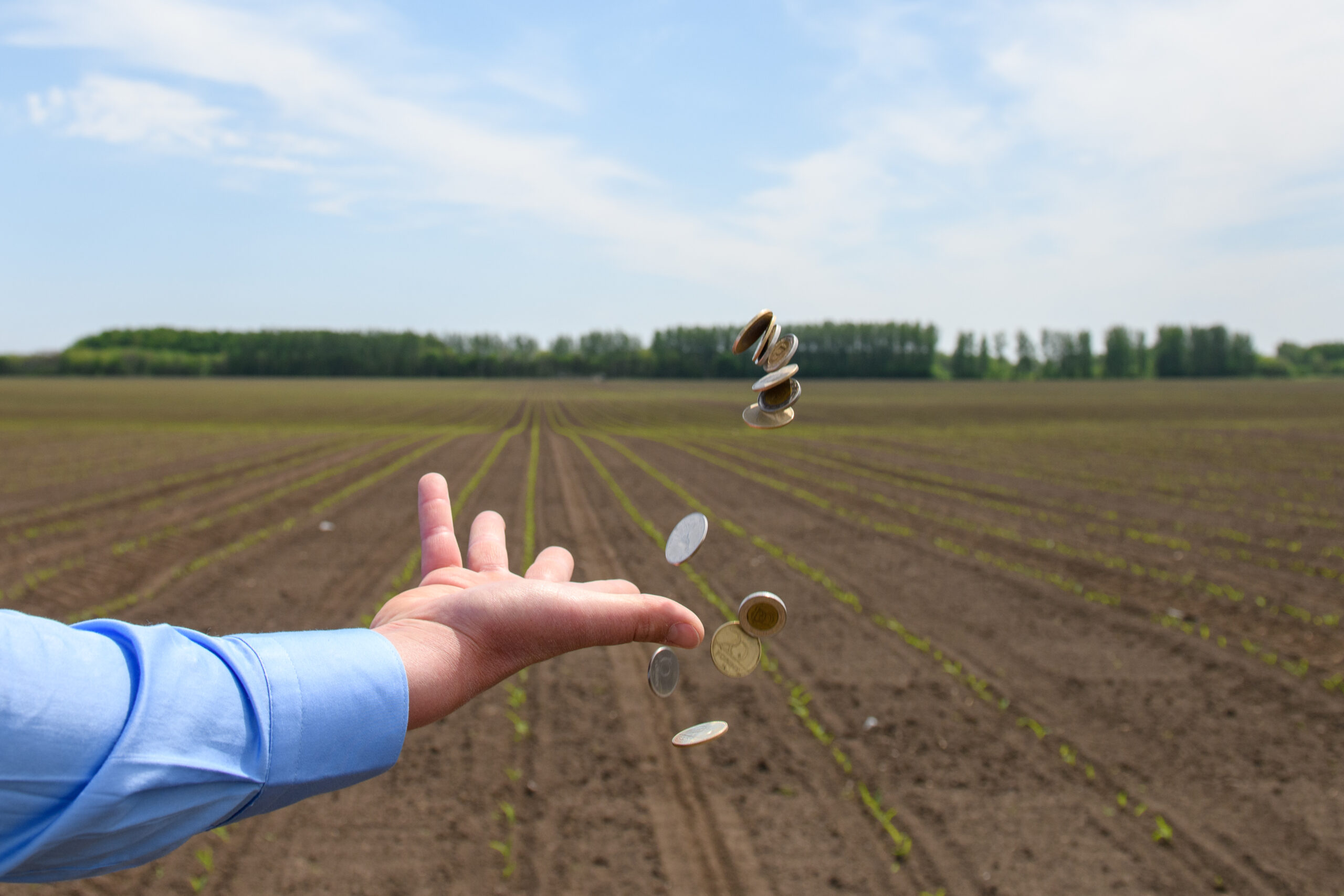 Több mint 45 milliárd forint agrárkárenyhítő juttatás érkezik a gazdálkodókhoz