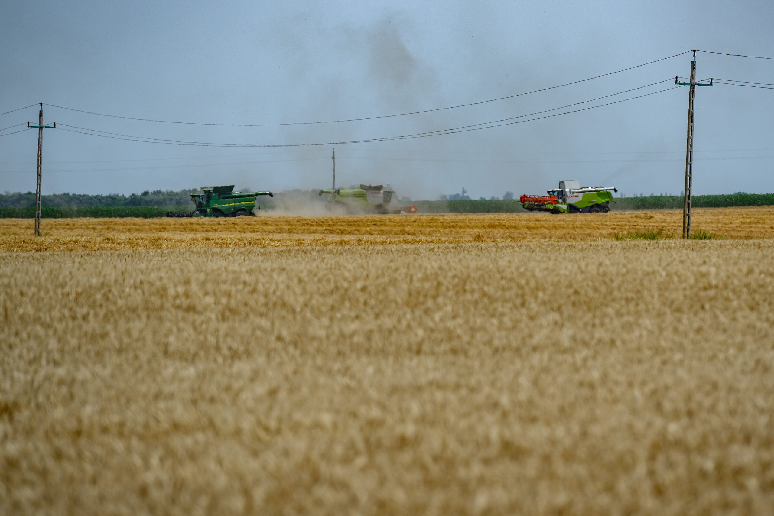 Aszály és klímaváltozás: mi lesz a magyar agráriummal?