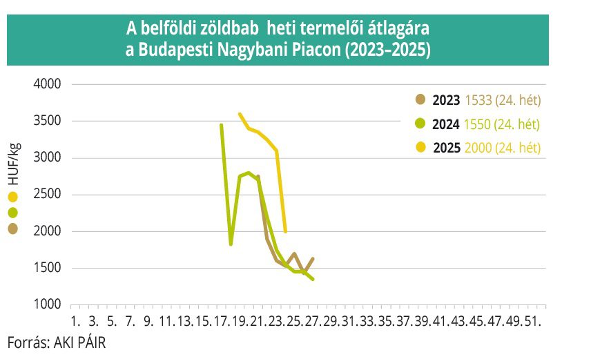 belföldi zöldbab