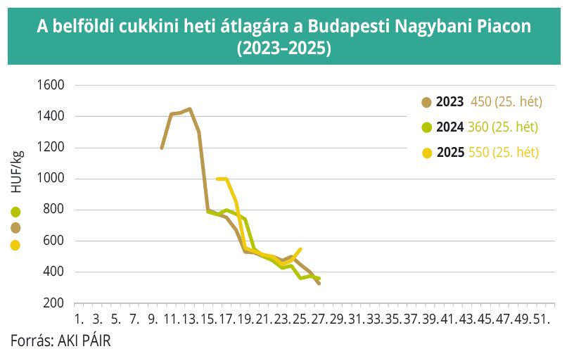 cukkini belföldi piaca