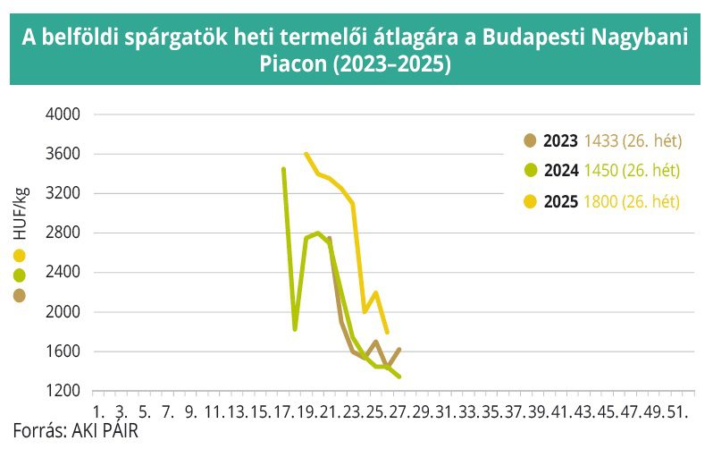 spárgatök