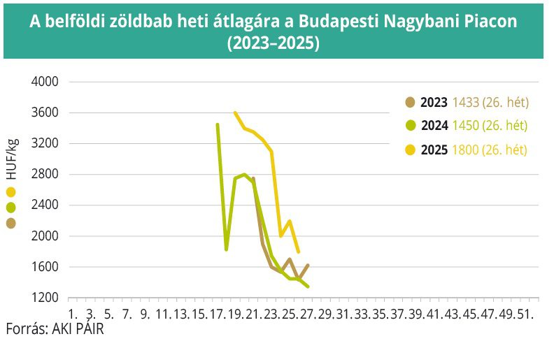 belföldi zöldbab