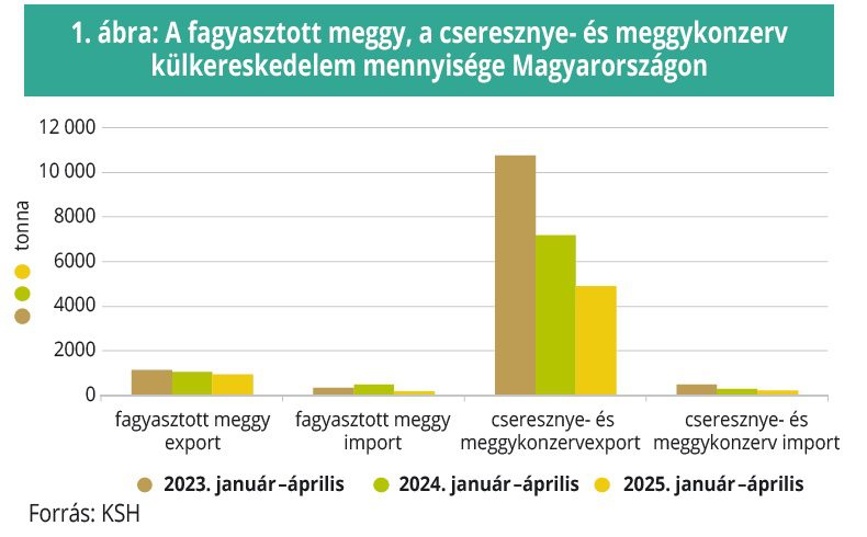 fagyasztott meggy cseresznye