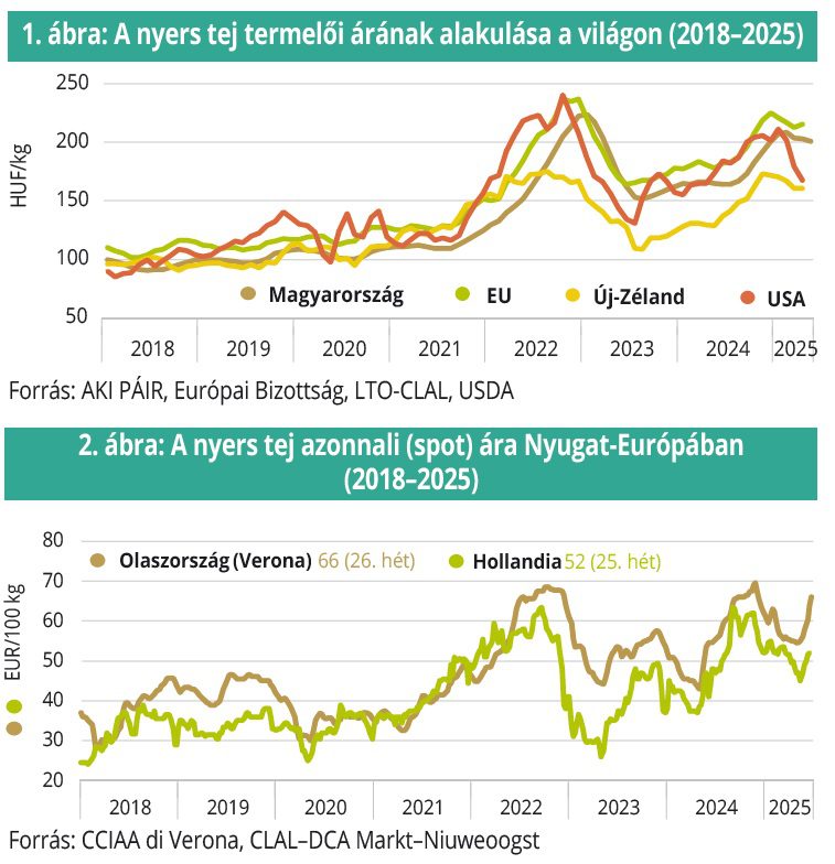 nyerstej