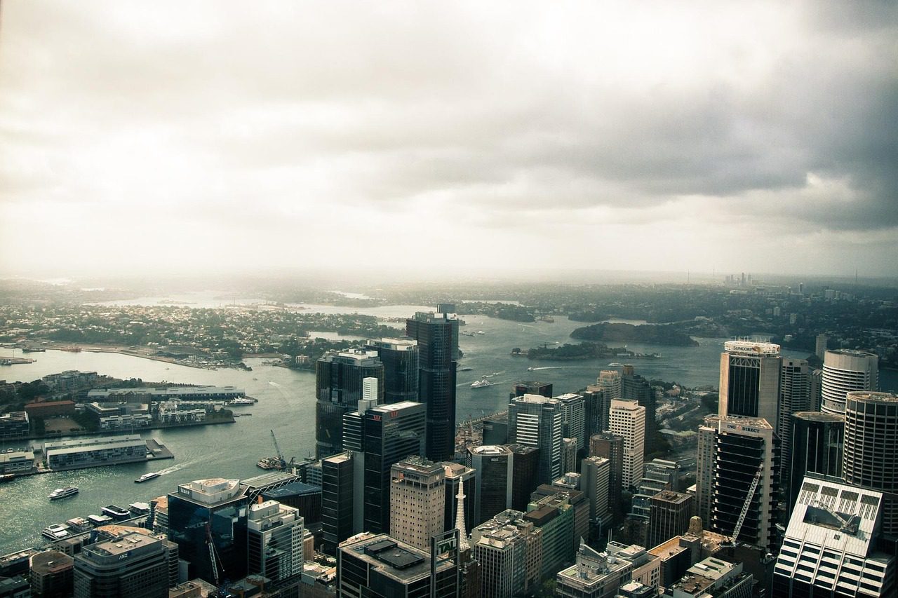 A szakemberek szerint beavatkozás nélkül hamarosan teljesen kipusztulhat a tengerifű a Sydney-i kikötőből tengeri csikó