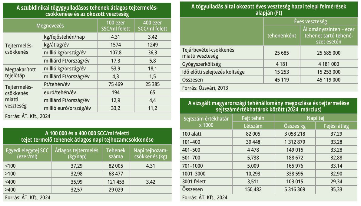 tőggyulladás