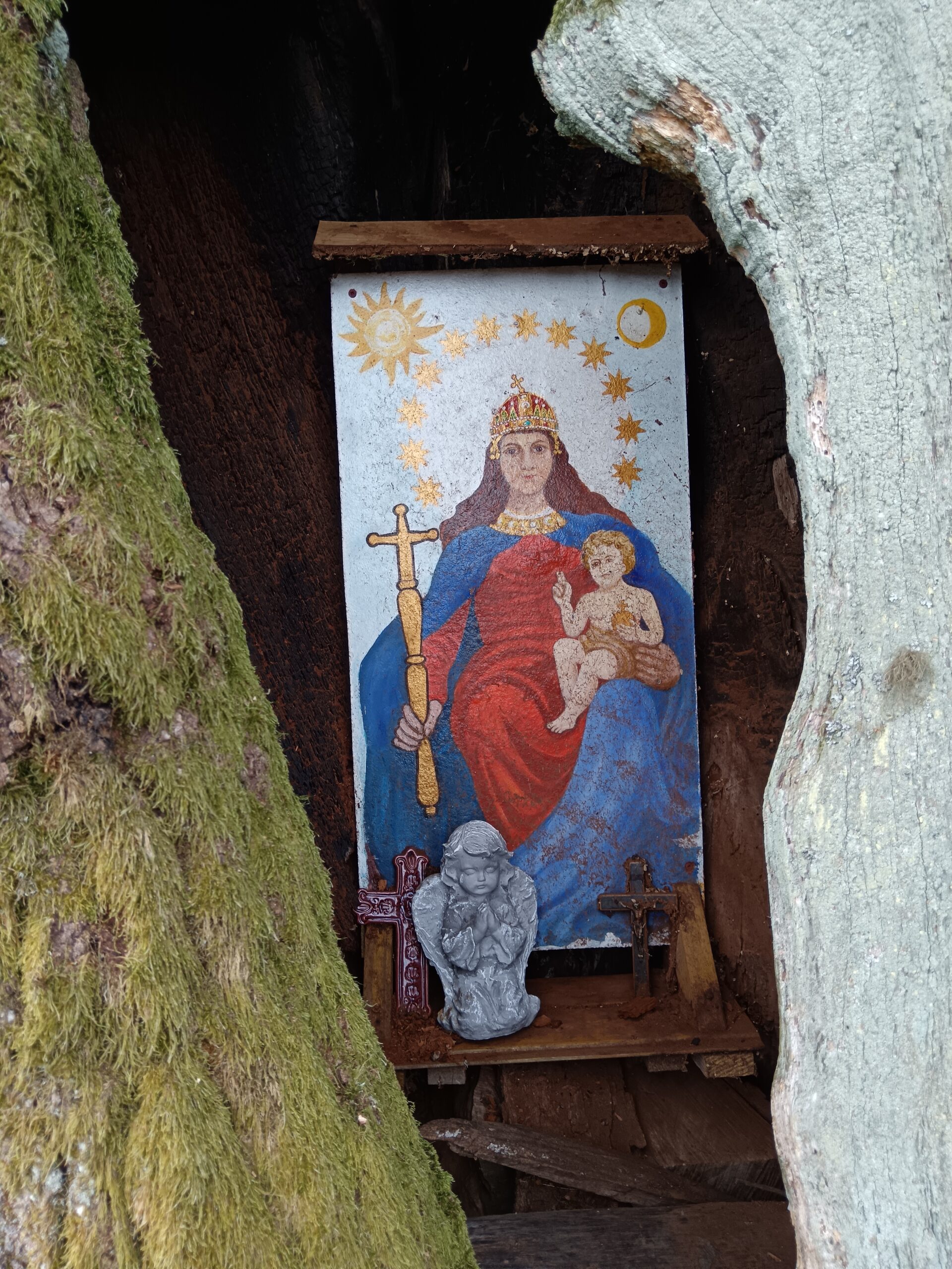 Mária-kép a Bíró-réten lévő öreg tölgyodvában