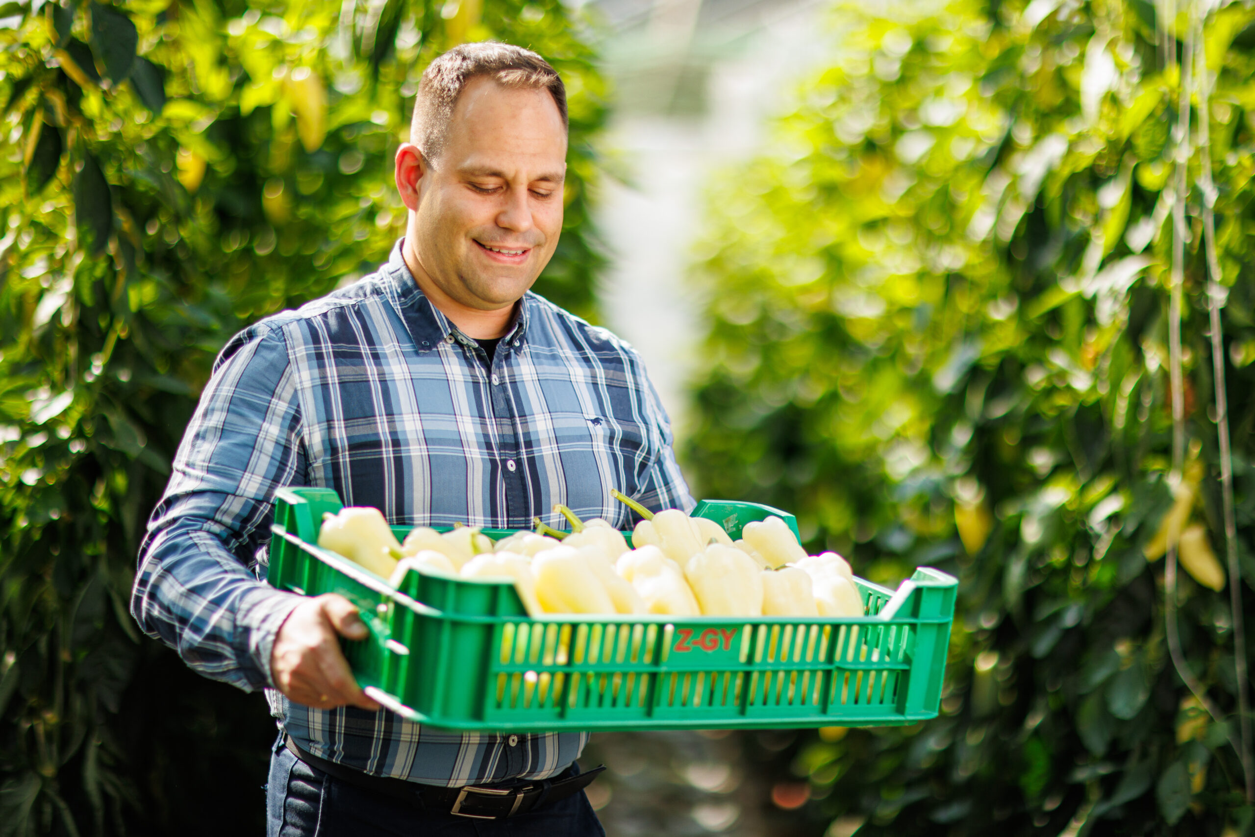 Nagypéter Sándor Hal helyett hálót adunk, azaz nem minőségi felárat fizetünk, hanem a fejlesztéseket és az innovatív, újszerű technológiákat támogatjuk