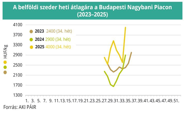 belfoldi_szeder_2023_2025