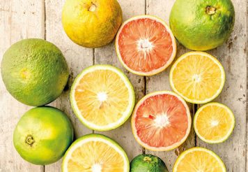 A limonádék alapjául szolgáló citrusfélék jó szomjoltók,emellett gyógyhatásuk is van