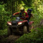 quad erdő jogszabály