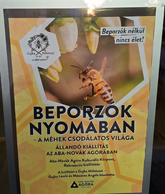 beporzó védelem kiállítás szolnok