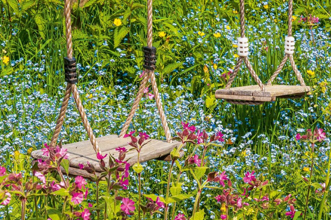 vadvirág biodiverzitás ökológia