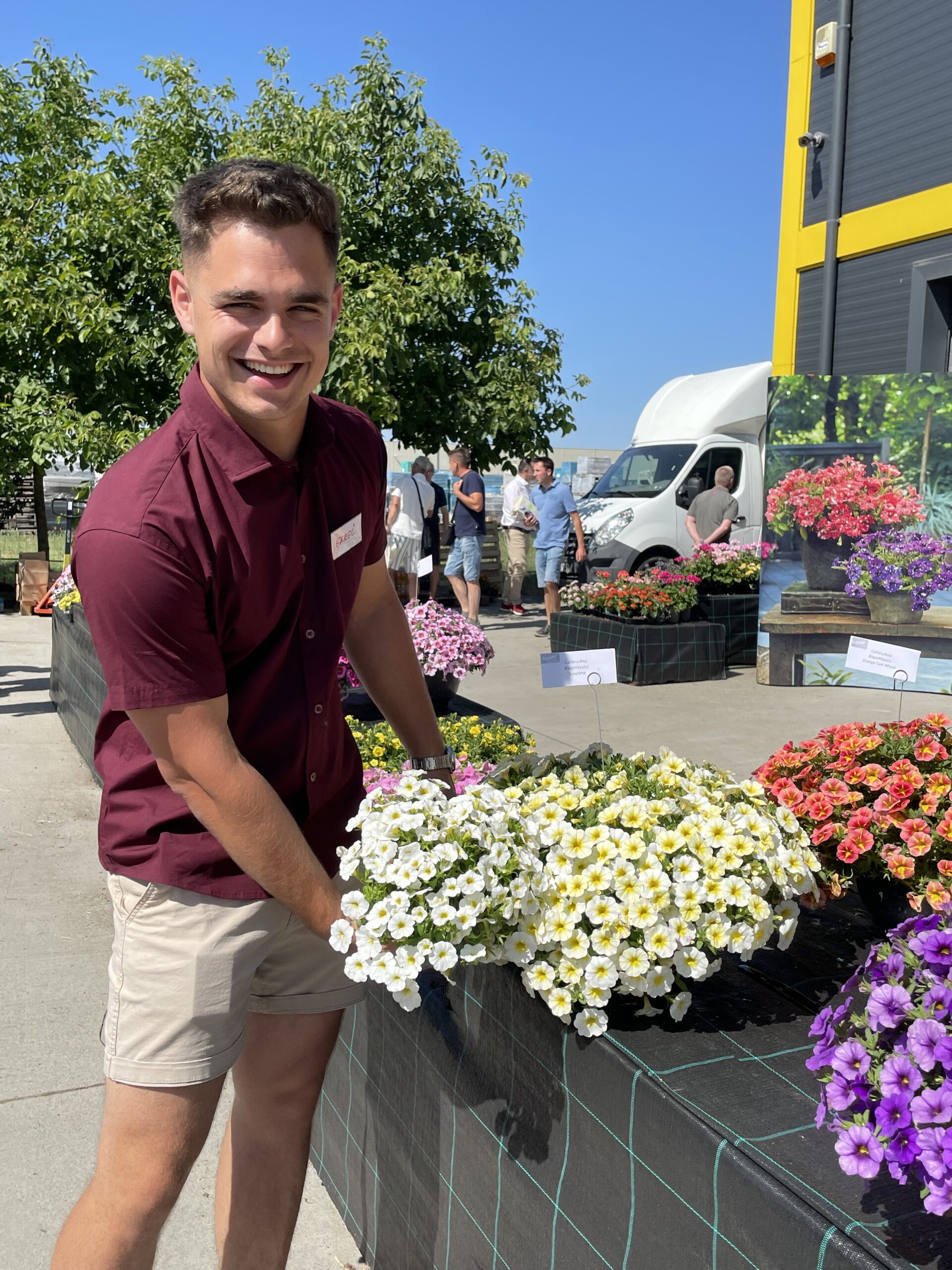 Laluska Gergő területi képviselő a virágméretekközti különbséget mutatja. A Calibrachoa Bloomtastic (jobbra) tenyészideje nagycserepes termesztésben 8-10 hét