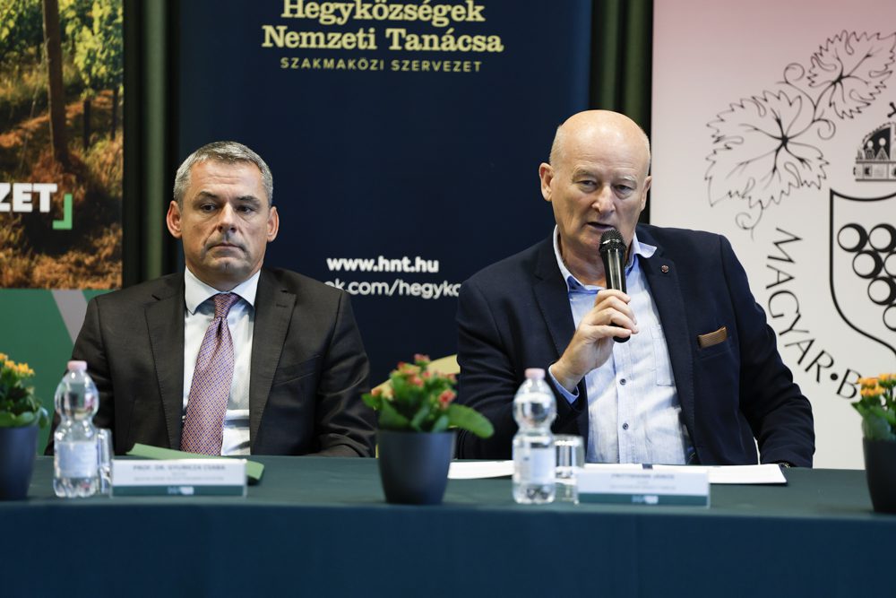 Frittmann János