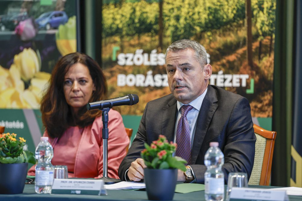 Gyuricza Csaba