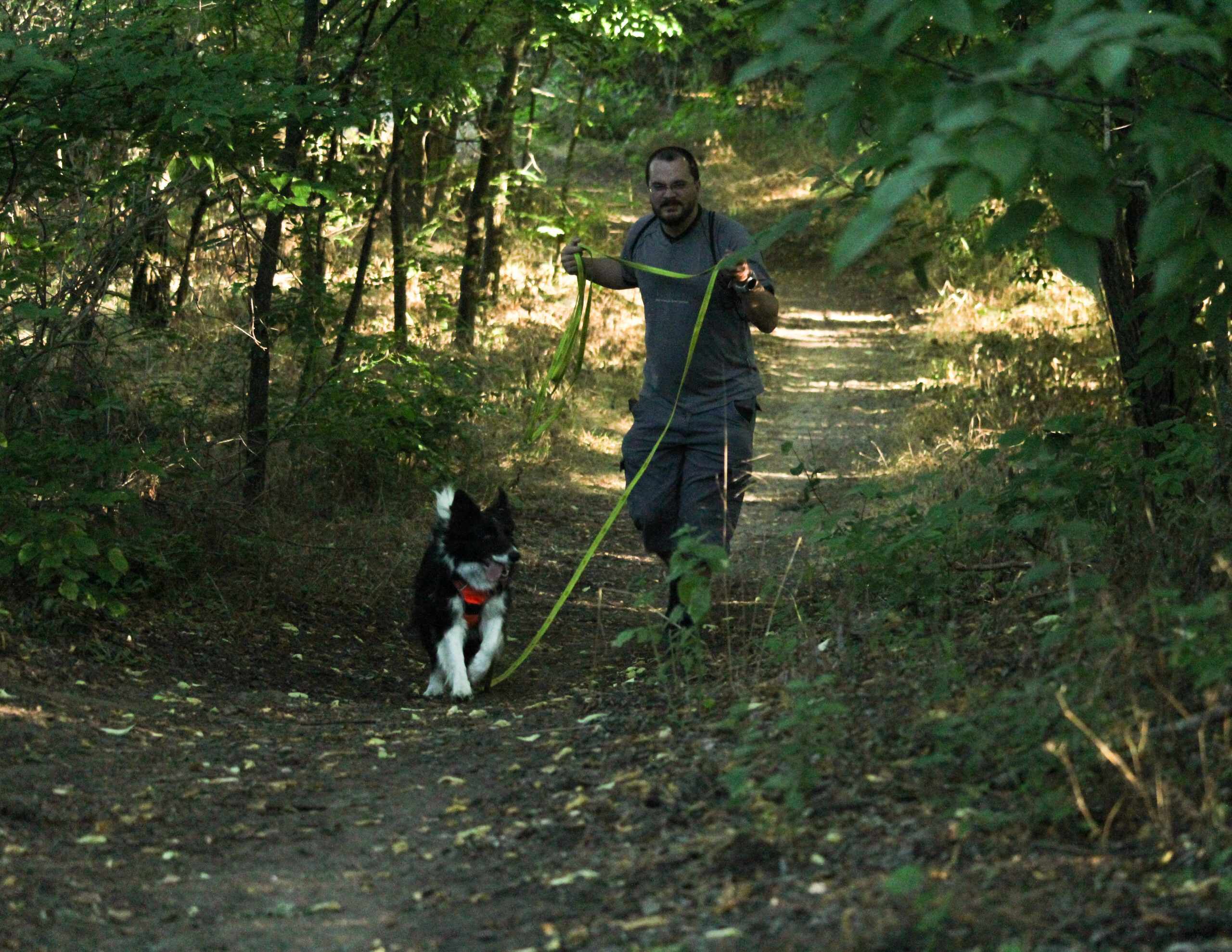 mantrailing