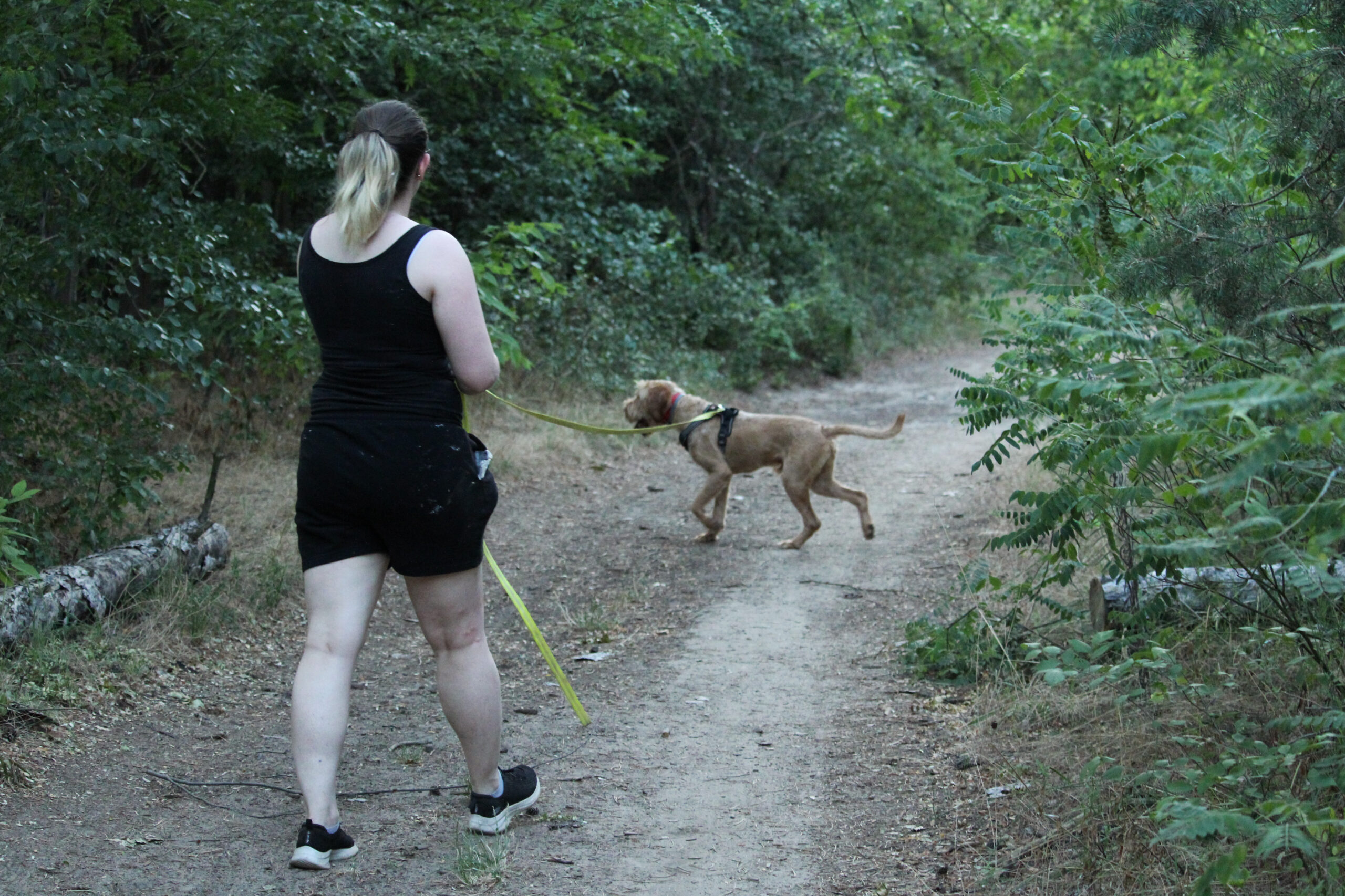 mantrailing