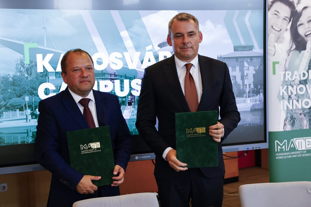 Gyuricza Csaba, Becze István