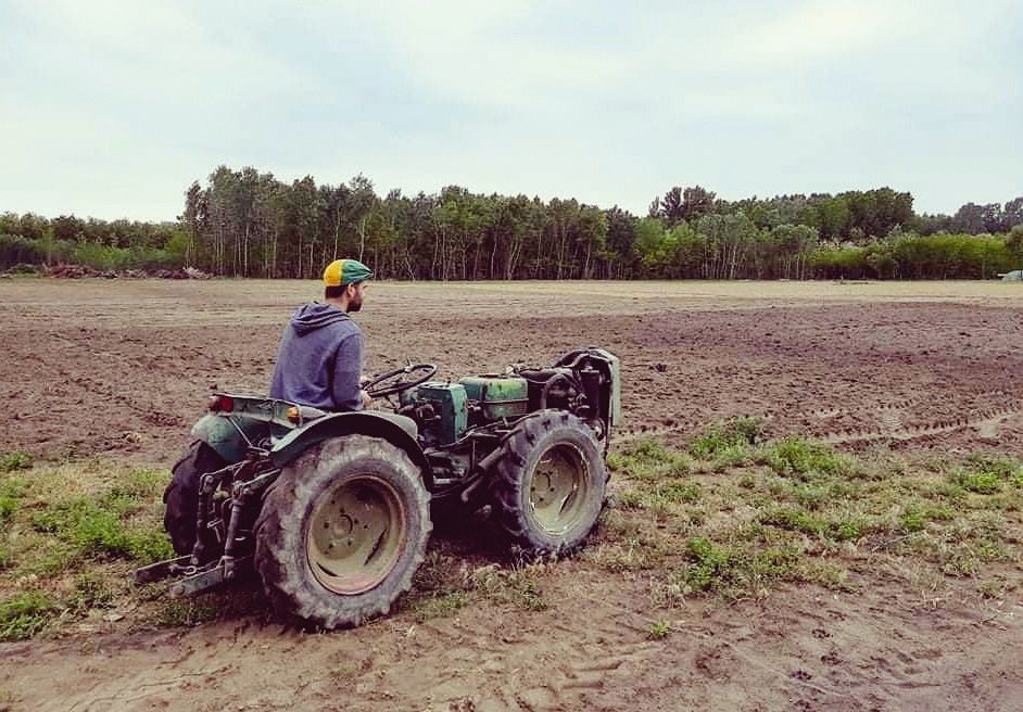 A munkák zömét a család végzi