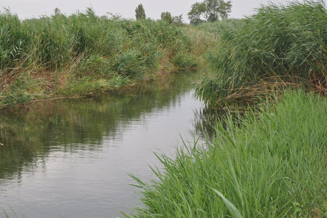 Az esélyt teremtő víz