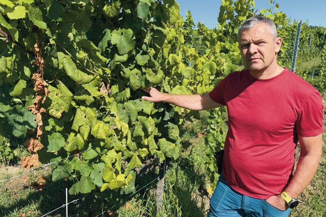 Tarsoly 􀀵óbert􀀝 remélem, mielőbb megtalálja a tudomány a fertőzés ellenszerét, de ehhez megfelelő szakmai kommunikáció is kell