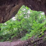 Az Odvas-kői-barlang egyike a Bakony legforgalmasabb denevérnászhelyeinek