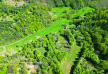 DEDES Projekt szakaszos legeltetes regenerativ gazdalkodas