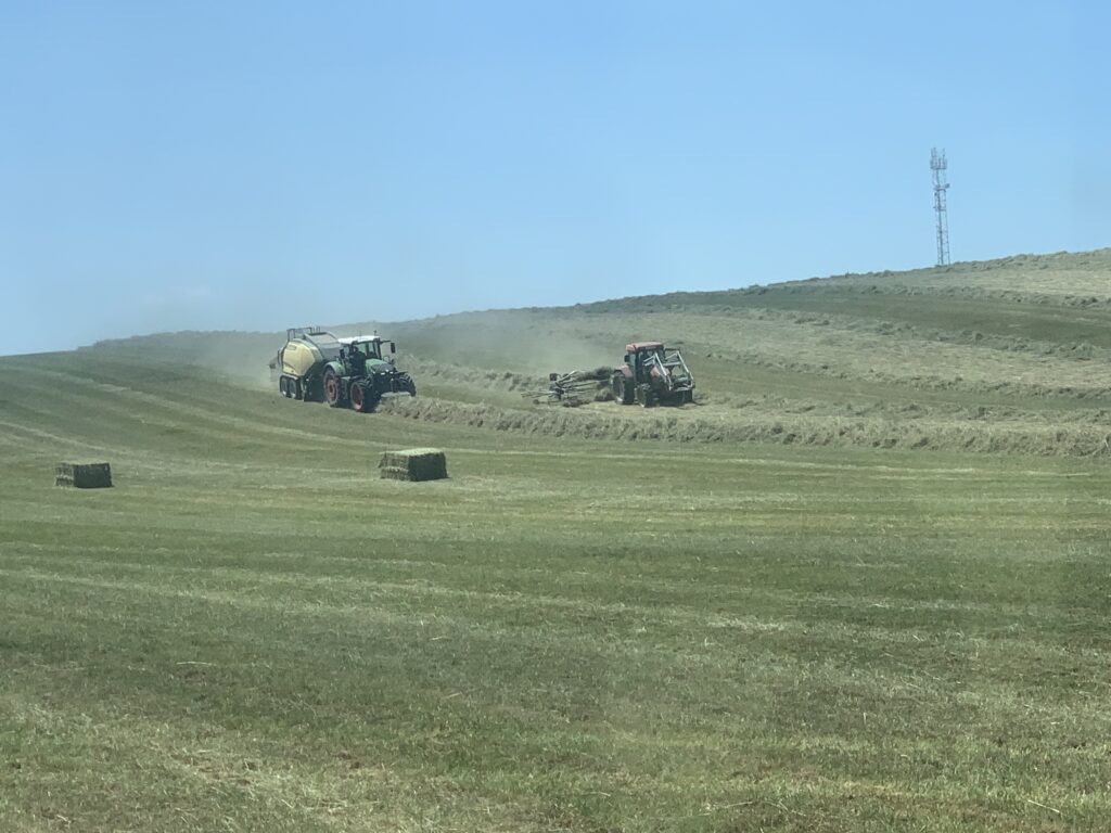 Zajlik a munka a sziráki határban (Fotó: Komjáthi Gábor)