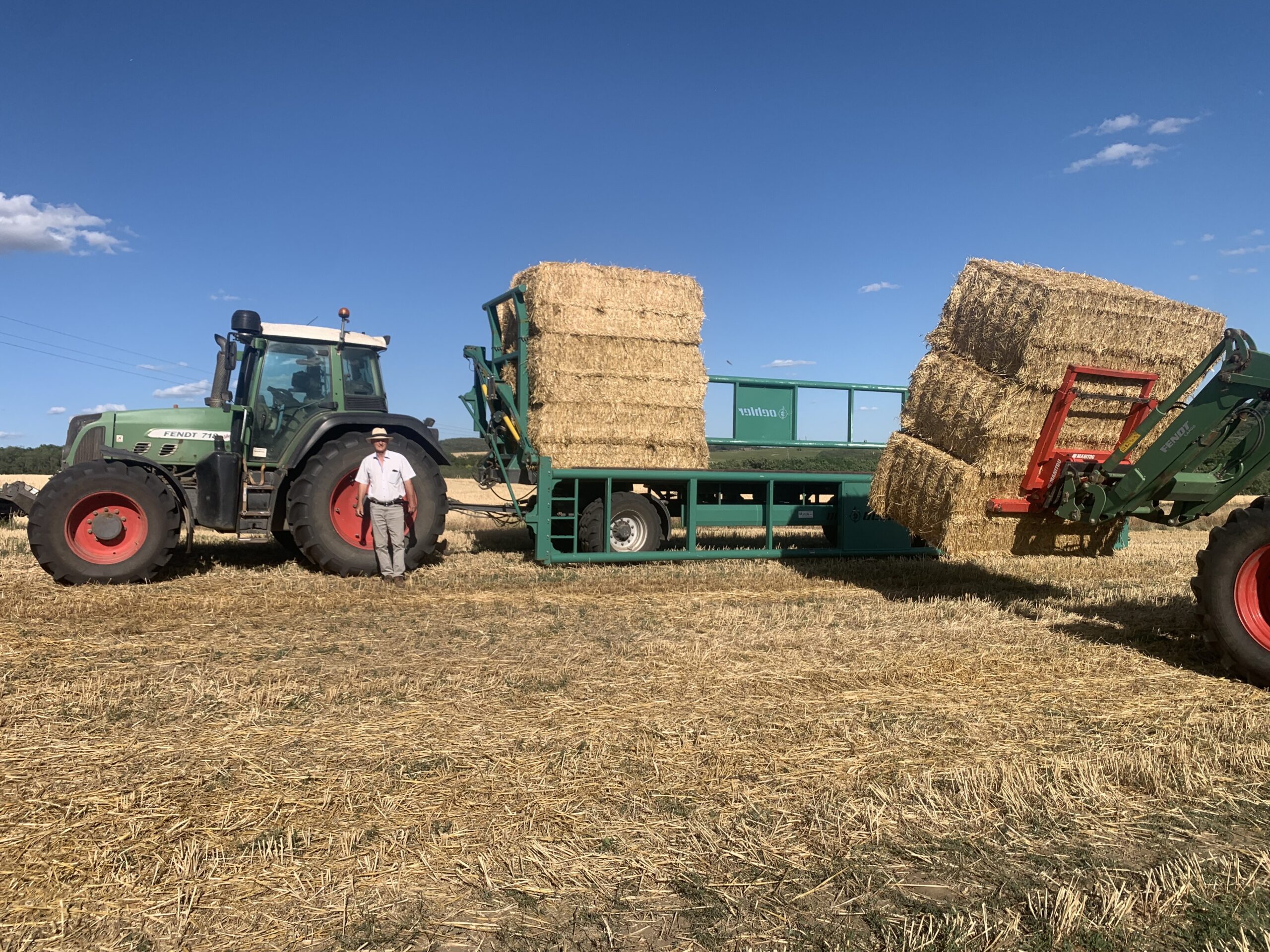 A talajnedvesség egy éjszaka alatt is teret biztosíthat a penészgombák megtelepedésének, így bálázás után egyből tározóba kerülnek a bálák (Fotó: Komjáthi Gábor)
