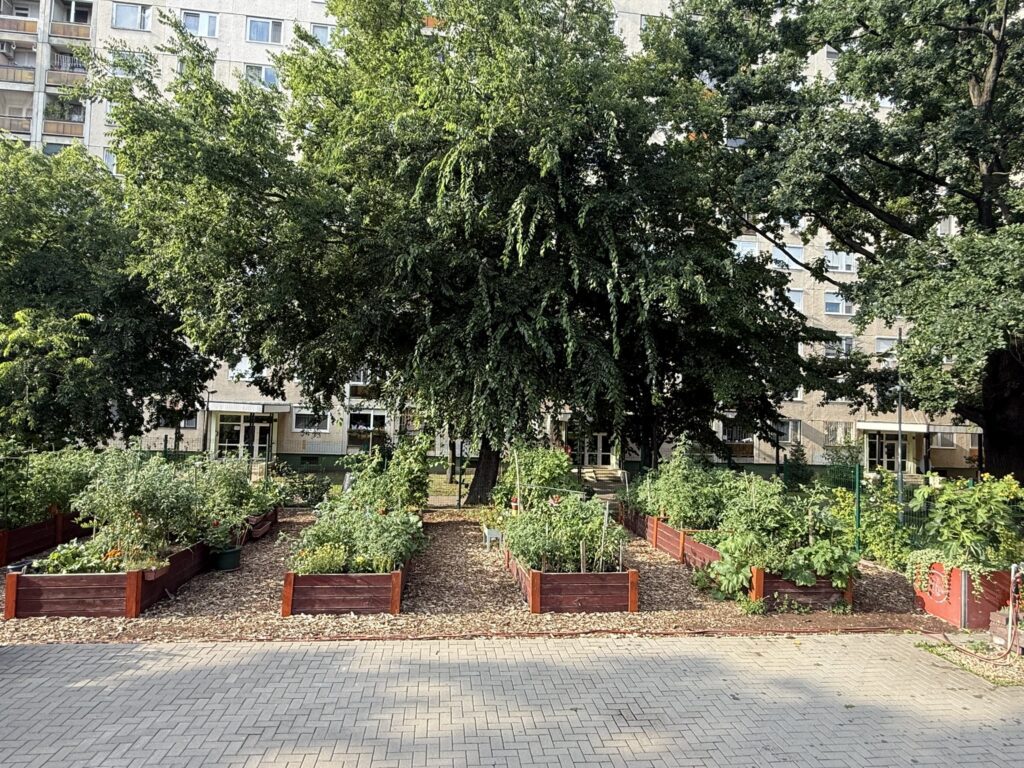 Magyarország legszebb konyhakertje