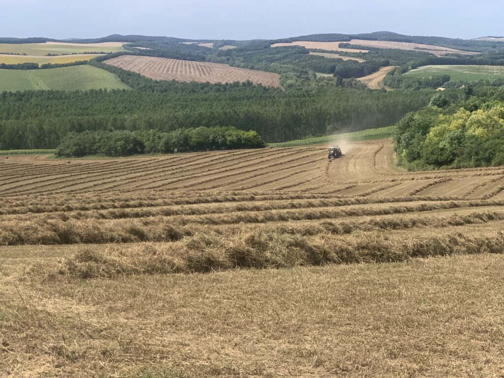 bálázás júniusban szirák fotó: Komjáthi Gábor
