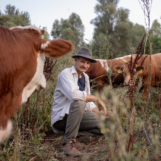 Balogh Péter geográfus gazdálkodó a marhái között. VízválasztóFotó: Kállai Márton