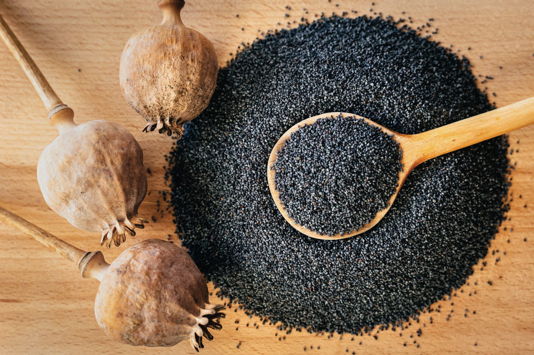 A mák nem érintkezik semmi mással