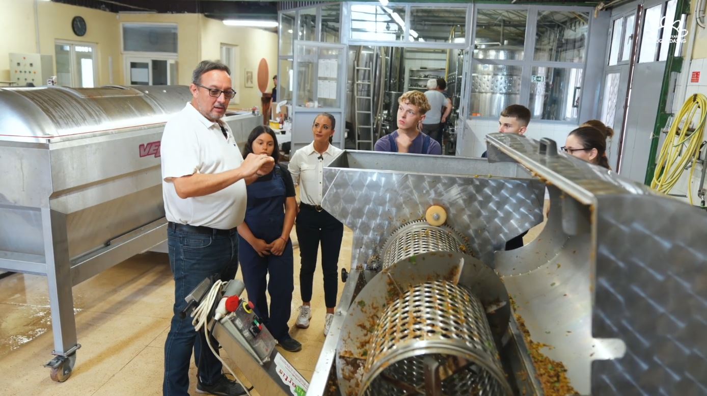 Mátyus Imre a Soós István Borászati Technikum és Szakképző Iskola szakoktatói munkaközösség vezetője