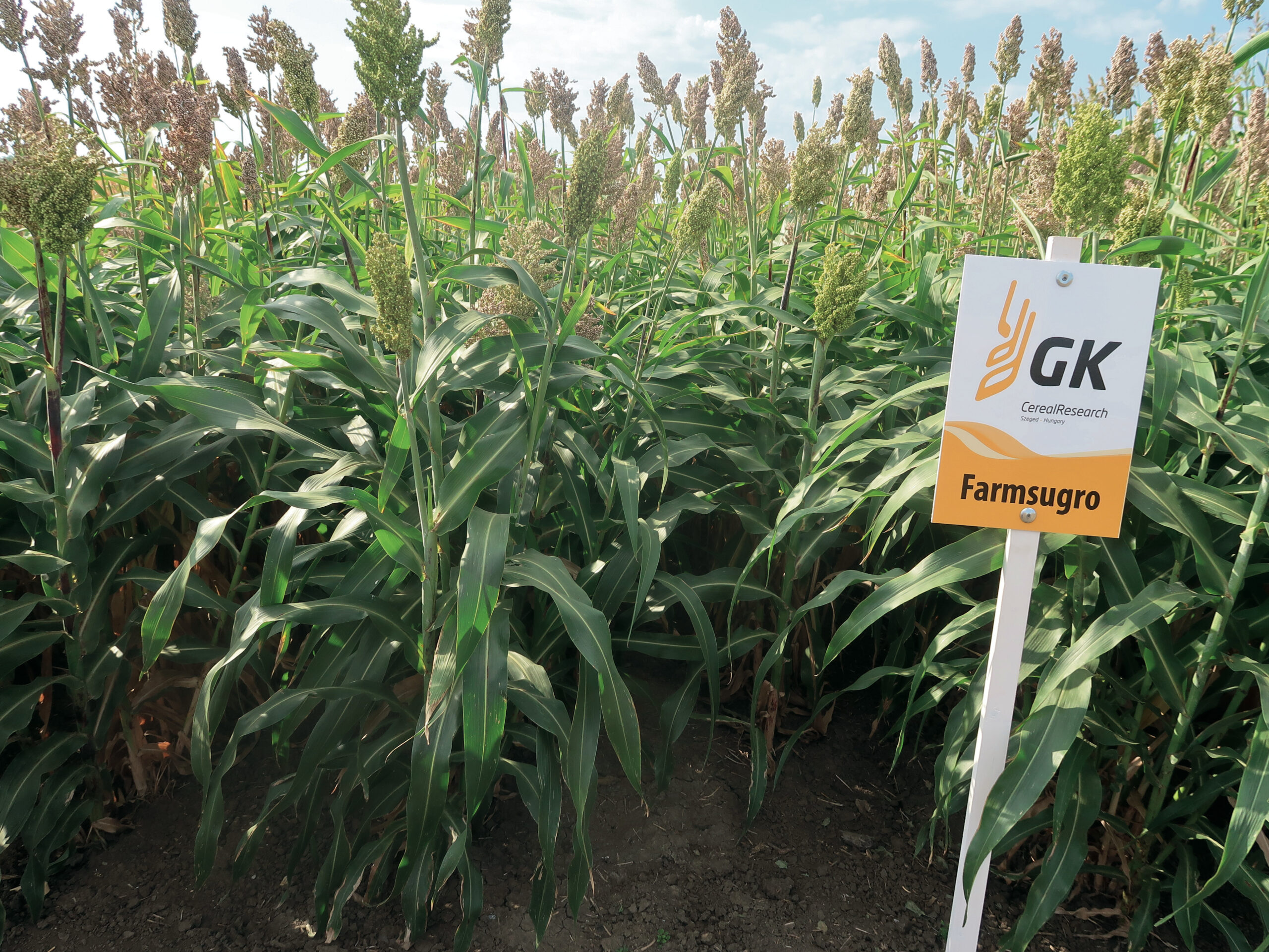 A Farmsugro 180 kettős hasznosítású,biogáz-előállításra is alkalmas